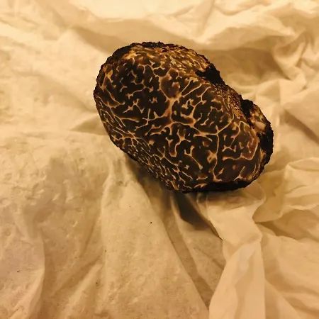 La Ferme Buissonniere Bed & Breakfast