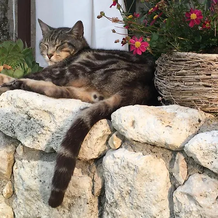 La Ferme Buissonniere Alojamento de Acomodação e Pequeno-almoço