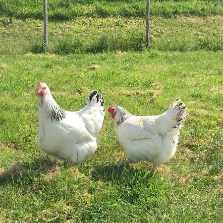 La Ferme Buissonniere Bardou