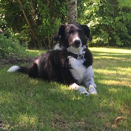 Bed and breakfast La Ferme Buissonniere 3*