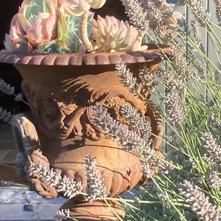 La Ferme Buissonniere Bed and breakfast Bardou