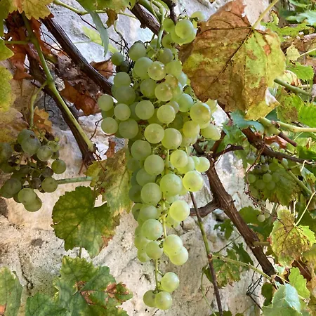 La Ferme Buissonniere Bardou