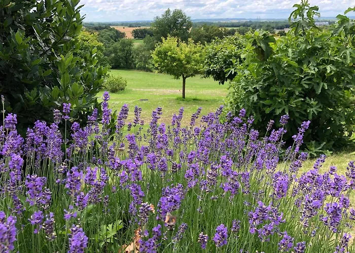 Bed and Breakfast La Ferme Buissonniere Bardou