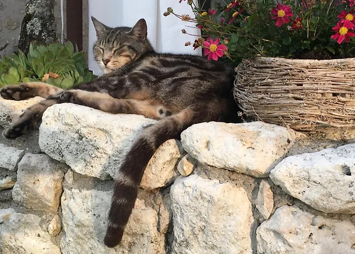 La Ferme Buissonniere Bed and Breakfast