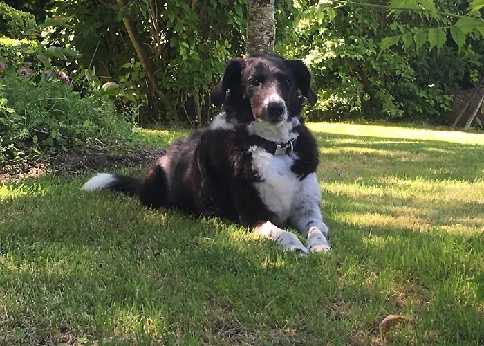 فندق مبيت وإفطار La Ferme Buissonniere 3*