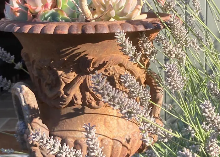 La Ferme Buissonniere فندق مبيت وإفطار Bardou