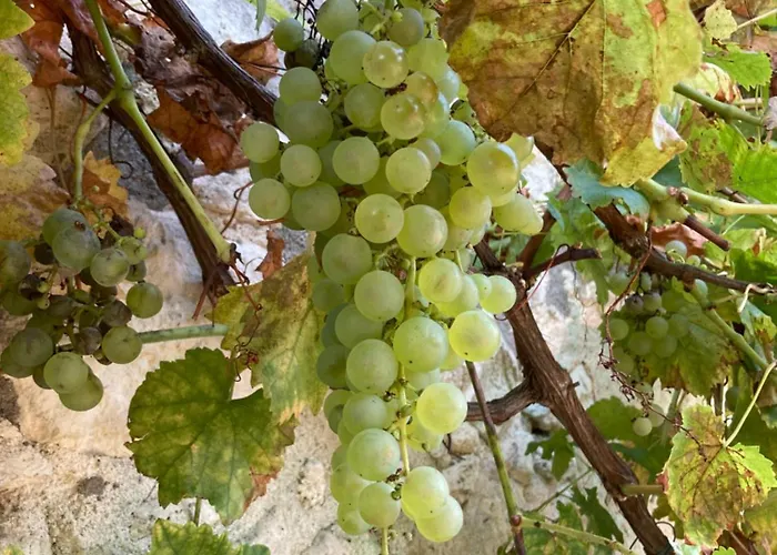 La Ferme Buissonniere Bardou